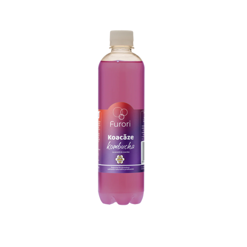 Băutură răcoritoare Kombucha, cu aromă naturală de coacăze, 500 ml