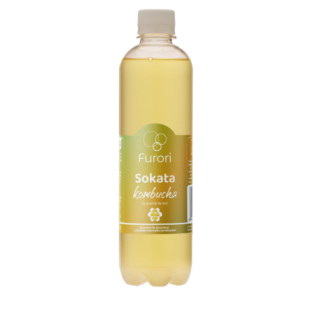 Газированный прохладительный напиток на основе Комбучи с натуральным ароматом бузины и мёдом, 500 мл